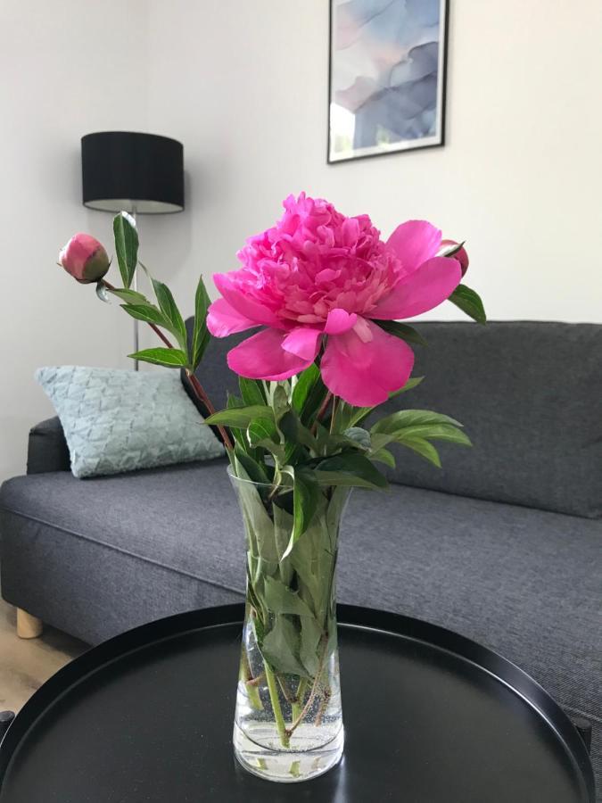 Apartman Na Kopci Krucemburk Luaran gambar